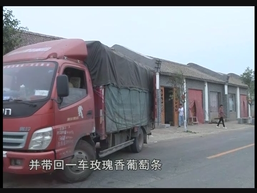 【科技与应用】①葡萄小镇美名扬②海肠的养殖秘籍（20190823 13:29-14:00）