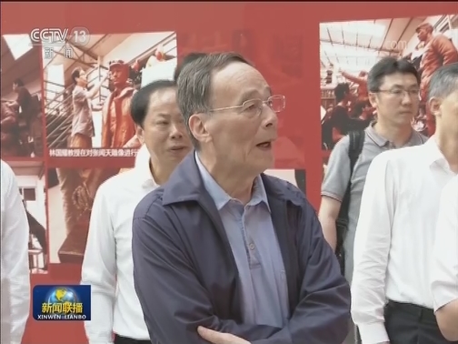 王岐山在广东调研