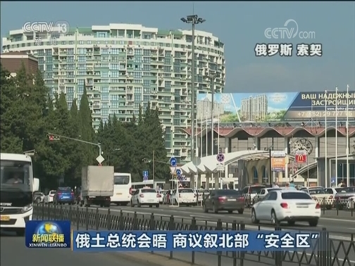 俄土总统会晤 商议叙北部“安全区”