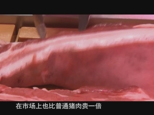 【科普之窗】杂交民猪野性足（20191105 13:08-13:28）