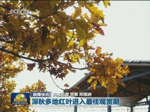 国内联播快讯