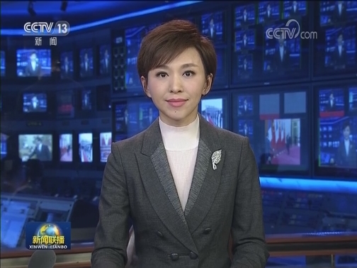 李克强结束出访回京