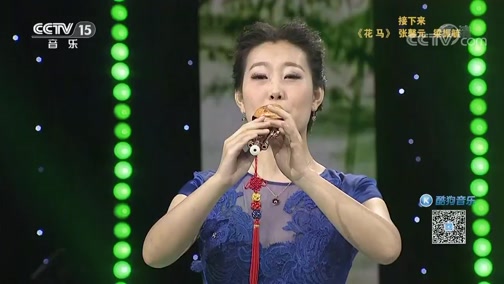 [风华国乐]《棠梨煎雪》 演奏:赵露雨