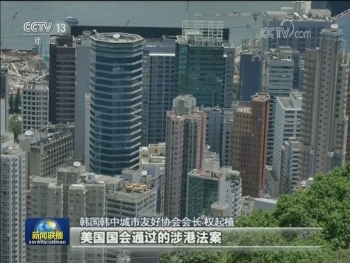 华人华侨坚决反对外部势力插手香港事务