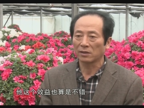 【科技与应用】①带领村民致富的“花木团队”②企业经营者的农业奇缘（20191208 13:28-13:58）