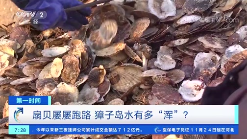 [第一时间]探秘獐子岛:部分区域扇贝确有死亡