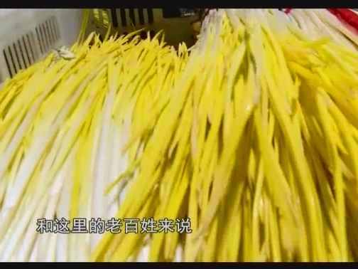【科技与应用】①小蒜黄生出大产业②圆梦萤火谷（20191215 13:35-14:05）