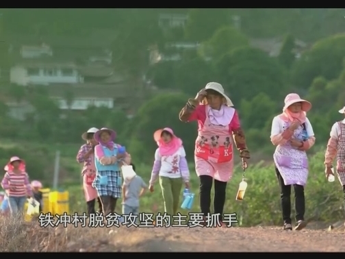 【科技与应用】①边陲贫困村的振兴路②小镇里的阳光收入（20191214 13:23-13:53）