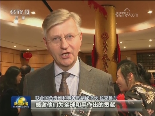 我驻外机构举行迎新春活动