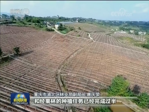 植树造林 打造美丽生态