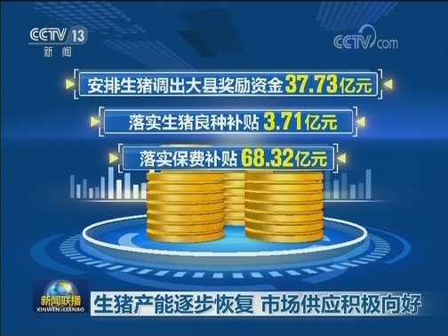 生猪产能逐步恢复 市场供应积极向好