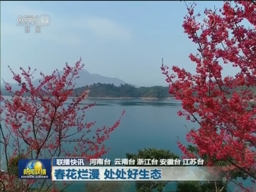 国内联播快讯