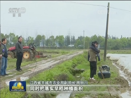 早稻生产有力推进 面积有望恢复增长