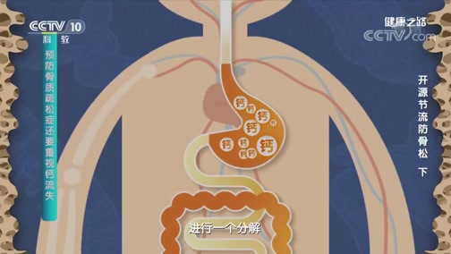 健康之路 开源节流防骨松 下 预防骨质疏松症还要重视钙流失