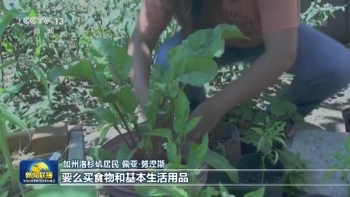 世卫：全球新冠肺炎确诊病例超1456万