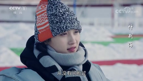 《什刹海》金颜来看望凤儿 替庄志斌向她赔礼道歉