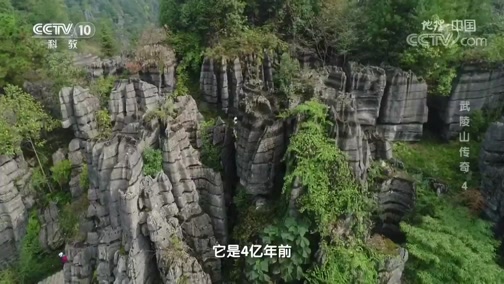 地理 中国 龙鳞石的真实身份