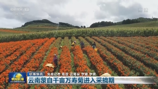 国内联播快讯