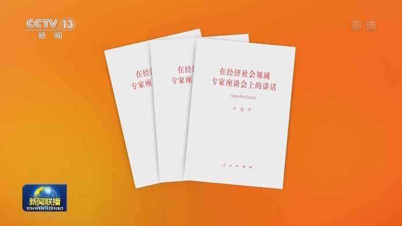 习近平《在经济社会领域专家座谈会上的讲话》单行本出版