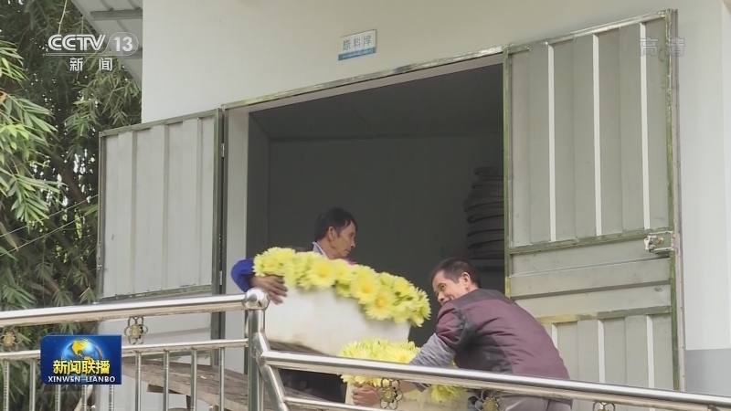 【落实全会精神在基层】致富路上莲花香
