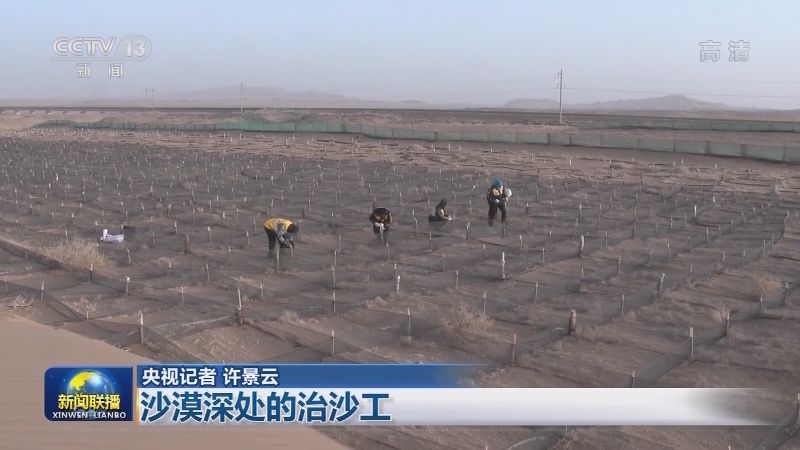 【新春走基层】沙漠深处的治沙工