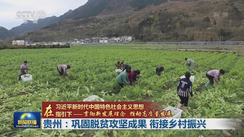 【在习近平新时代中国特色社会主义思想指引下——贯彻新发展理念 推动高质量发展】贵州：巩固脱贫攻坚成果 衔接乡村振兴