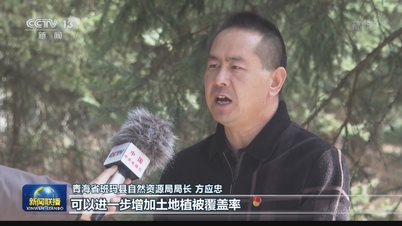 【奋斗百年路 启航新征程·同心奔小康】青海班玛：藏雪茶绘就高原致富经