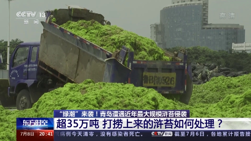 东方时空 绿潮 来袭 青岛遭遇近年最大规模浒苔侵袭三道防线防浒苔青岛加大打捞力度