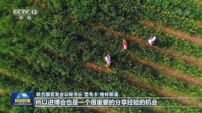 总台记者专访联合国贸发会议秘书长