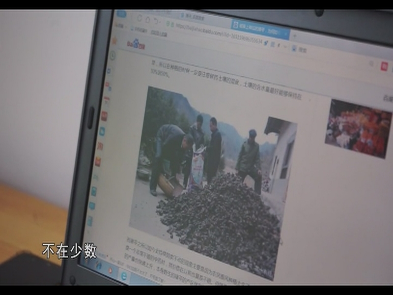 【科技与应用】①猪苓致富宝 山区脱贫药②敢想实干的拓荒牛（20220131 13:28-13:58）