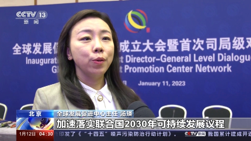 [新闻直播间]全球发展促进中心网络正式成立