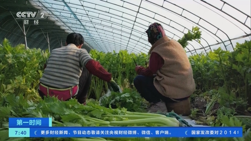 [第一时间]1月份全国蔬菜价格季节性上涨