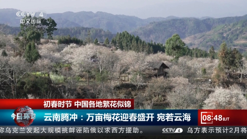 [今日环球]初春时节 中国各地繁花似锦