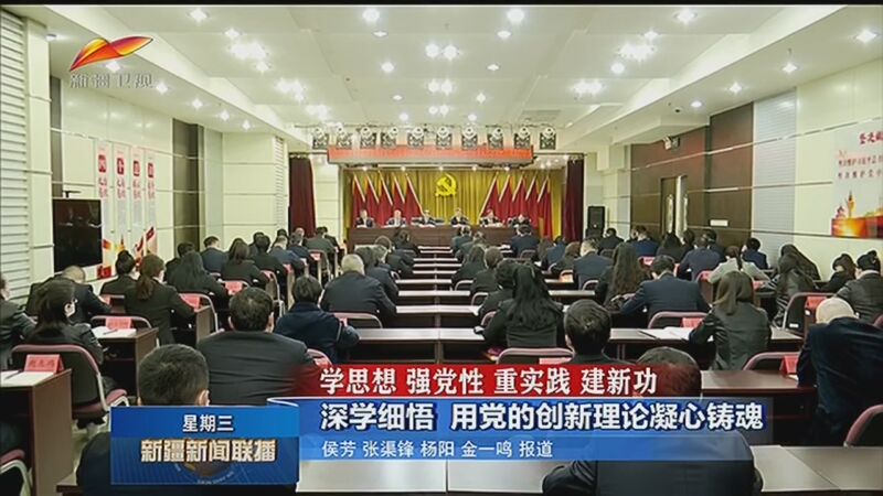 强党性 重实践 建新功 深学细悟 用党的创新理论凝心铸魂