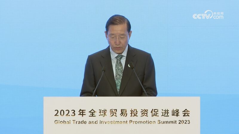 国家电网有限公司董事长辛保安