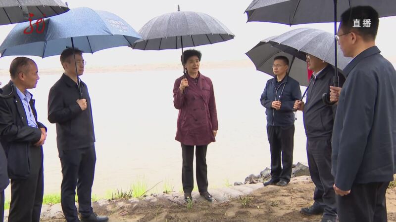 [共度晨光]梁惠玲在肇源和双城调研防汛工作时强调 全力做好防汛抢险