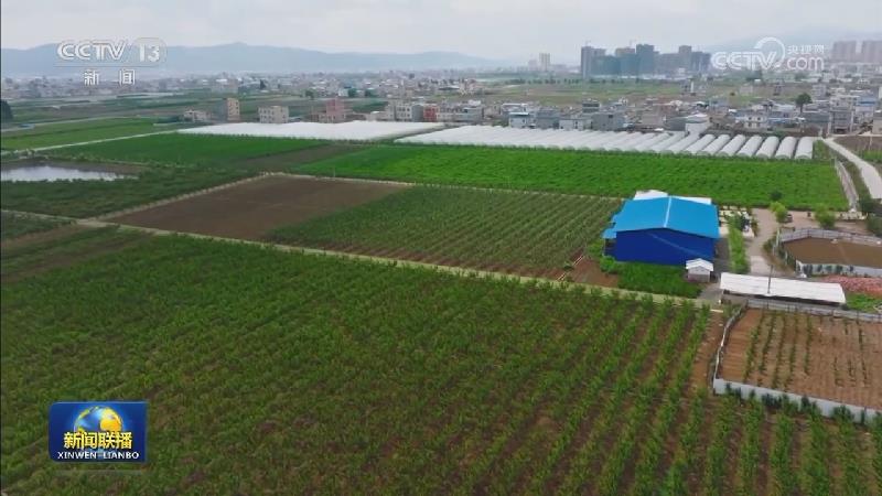 【学思想 强党性 重实践 建新功】以科技服务助力高质量发展