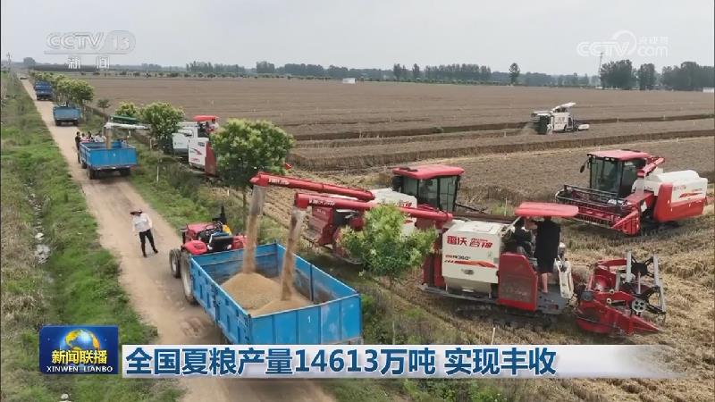 全国夏粮产量14613万吨 实现丰收