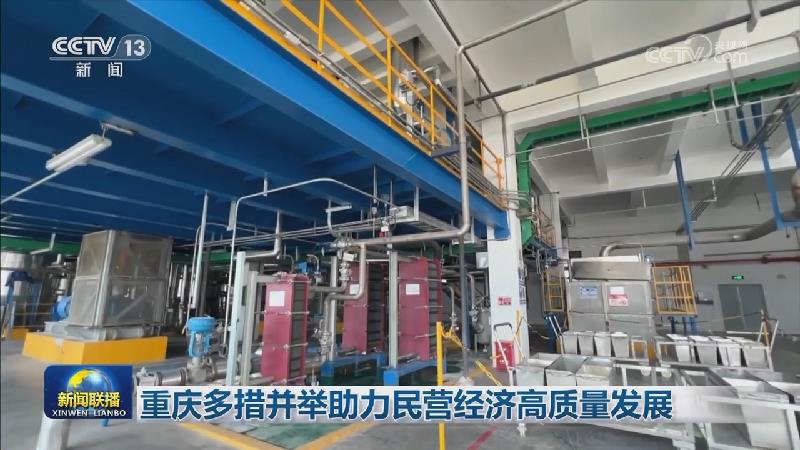 重庆多措并举助力民营经济高质量发展