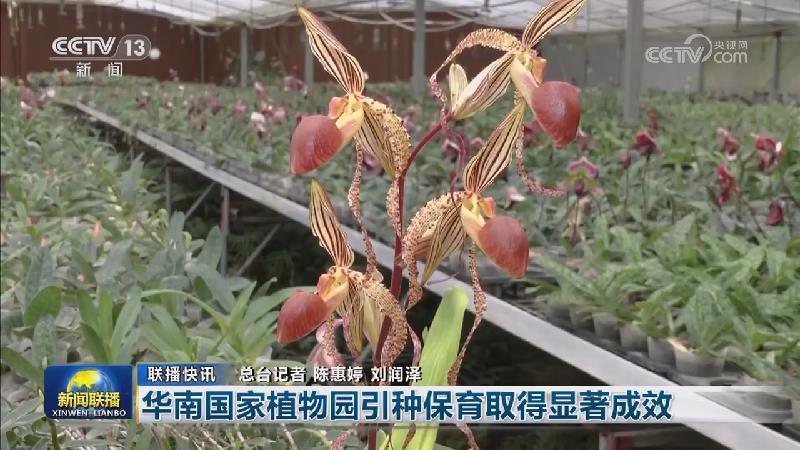 国内联播快讯