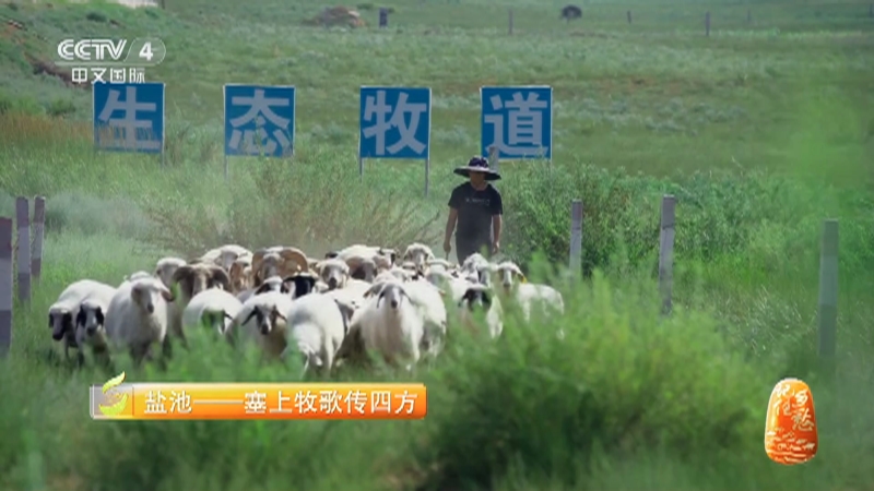 [记住乡愁]打平伙和吃羊肉是盐池人欢庆节日的传统方式