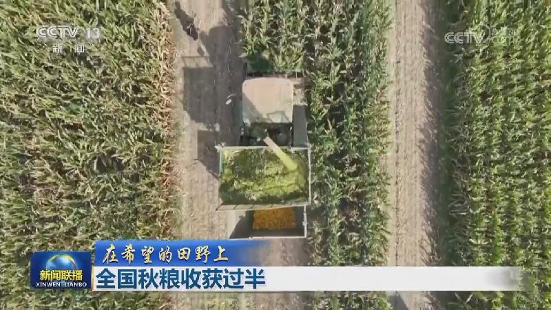 【在希望的田野上】全国秋粮收获过半