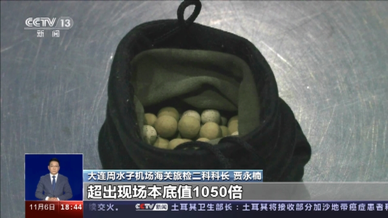 [共同关注]大连周水子机场海关 辐射超标千倍 旅客携"保健石"入境被查