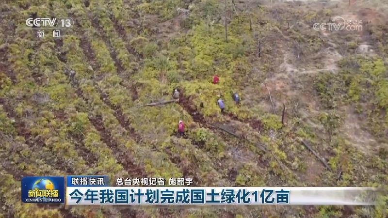 国内联播快讯