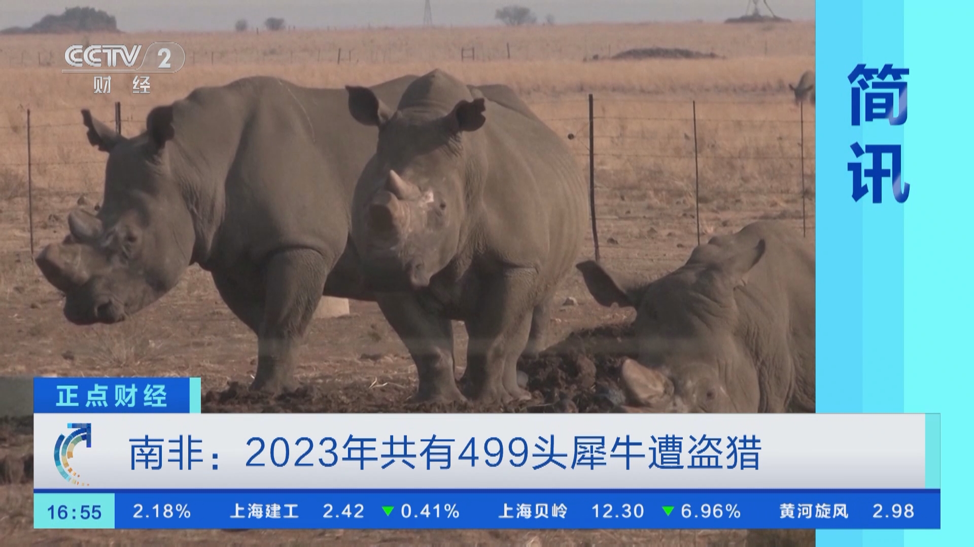 正点财经]南非：2023年共有499头犀牛遭盗猎