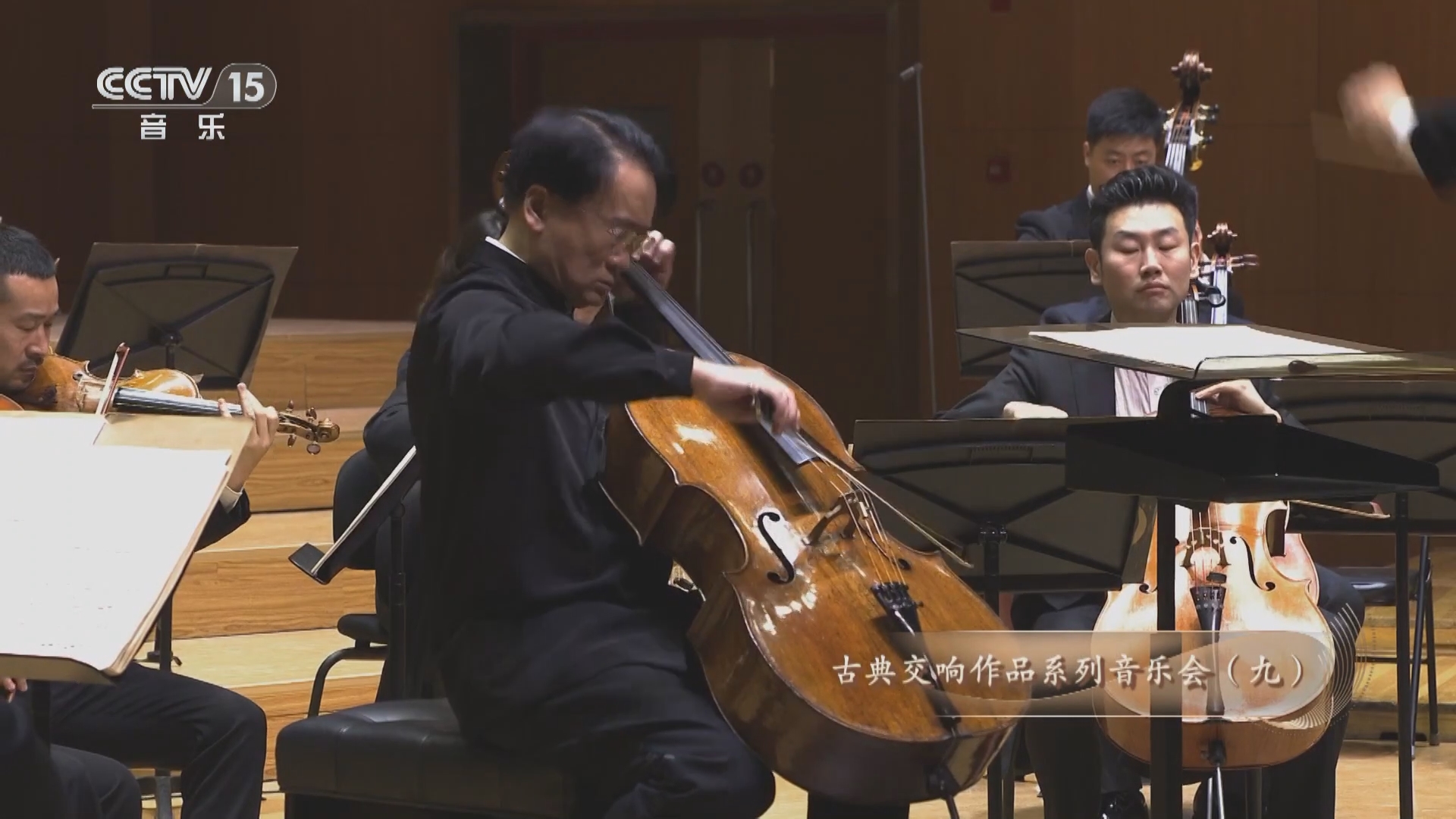 《c大调第一大提琴协奏曲》第一乐章 作曲:海顿 大提琴:王健 指挥