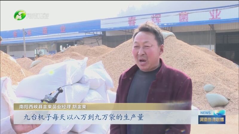 [河南新闻联播]人勤春来早 南阳西峡:三亿袋香菇开始栽培
