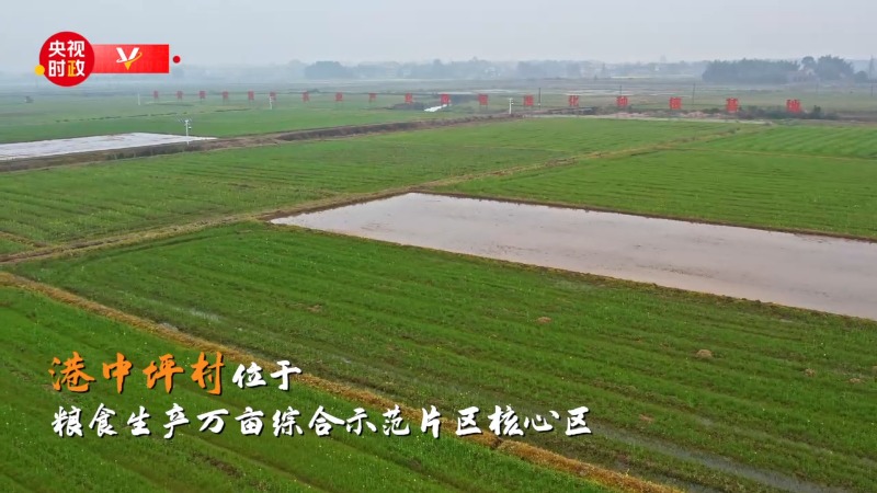 支撑 绘就乡村全面振兴新画卷——走进常德市鼎城区谢家铺镇港中坪村