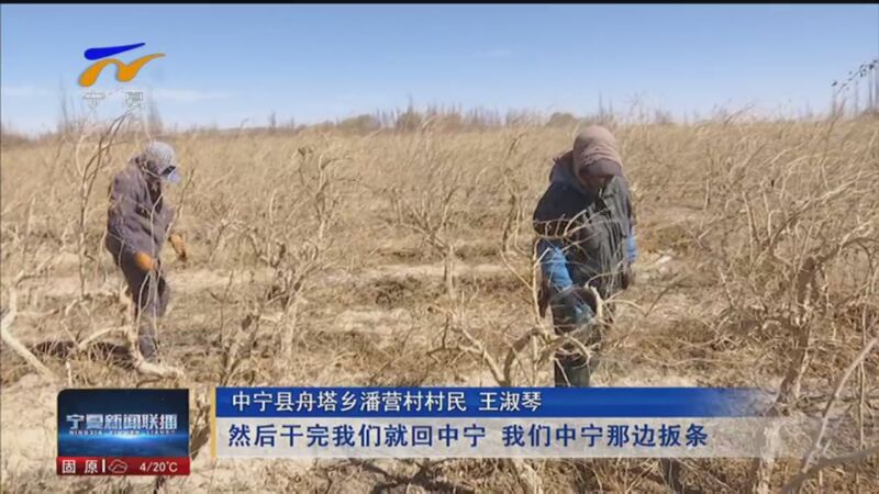 [宁夏新闻联播]稳就业 惠民生 中宁枸杞技工:乡土专家闯出新生活