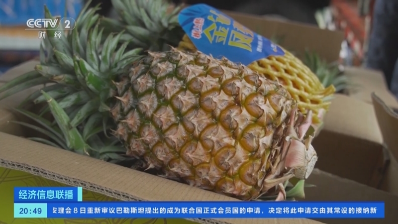 [经济信息联播]浙江嘉兴:水果市场价格平稳 部分当季水果供不应求
